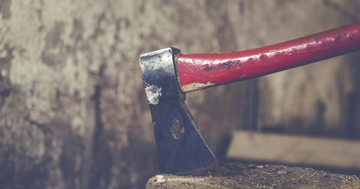 Ace Sander in Action - SanderSavvy