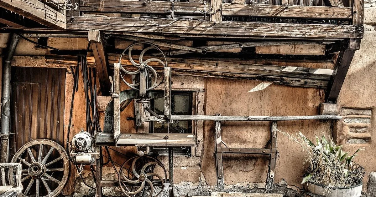 Vinn Sander Defined - SanderSavvy