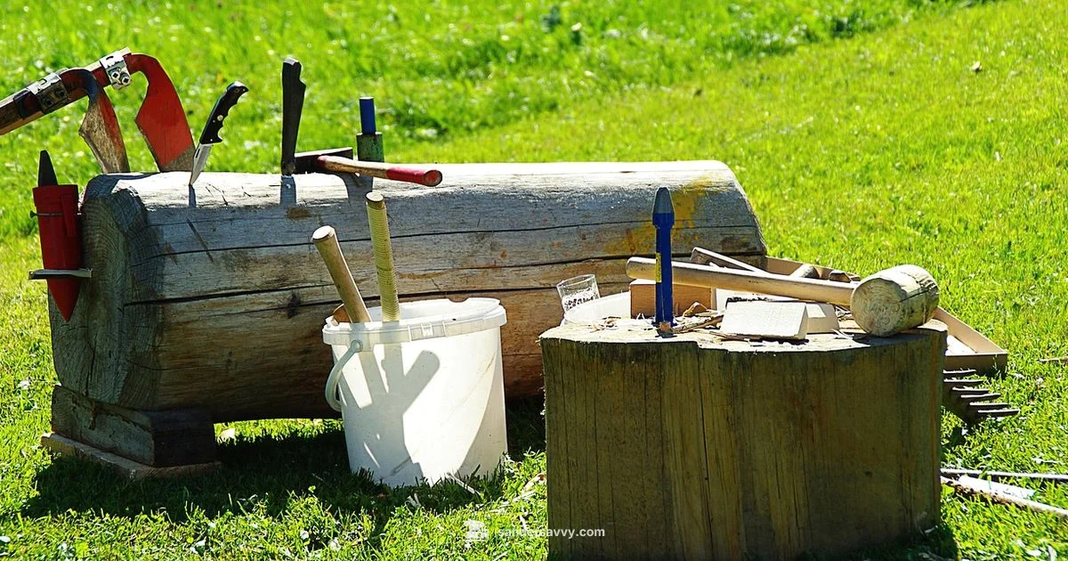 Detail Sander Guide - SanderSavvy