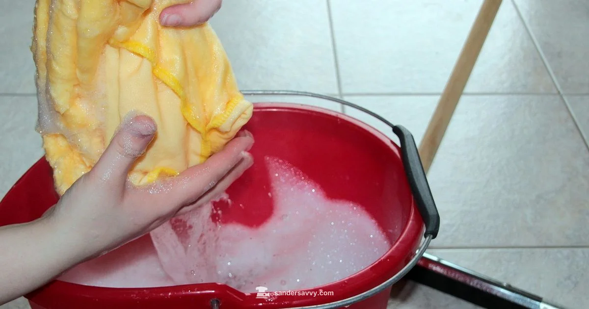 Clean Discs Guide - SanderSavvy