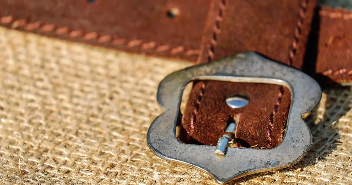 Sander Showdown - SanderSavvy