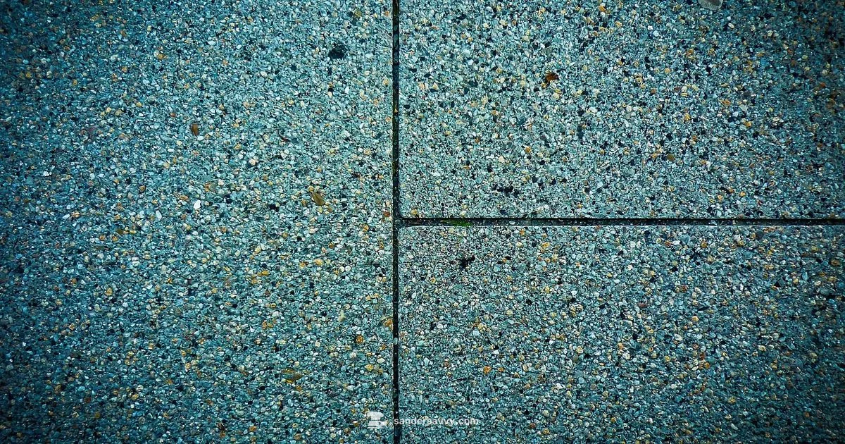 Stone Sander Essentials - SanderSavvy