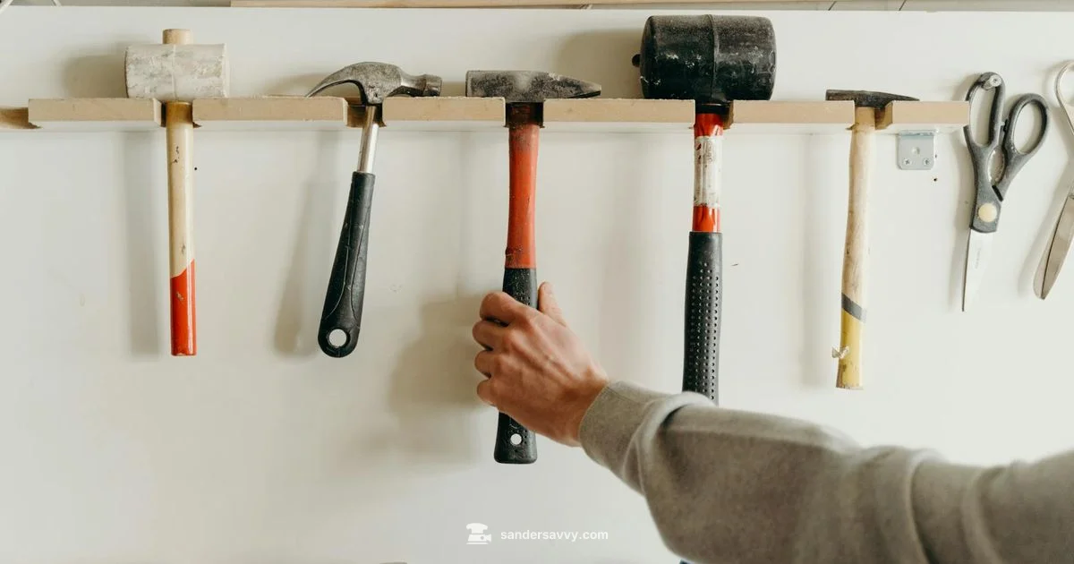 6 Sander Essentials 6 Sander Essentials - SanderSavvy