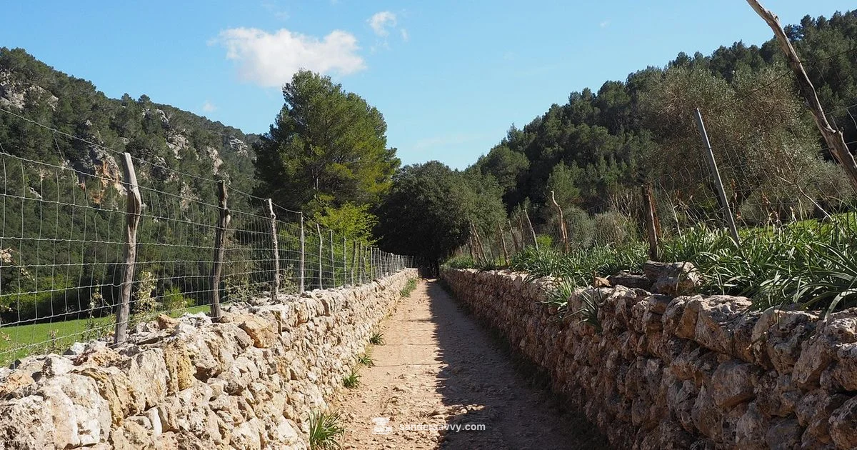 WEN Drywall Sander Review - SanderSavvy