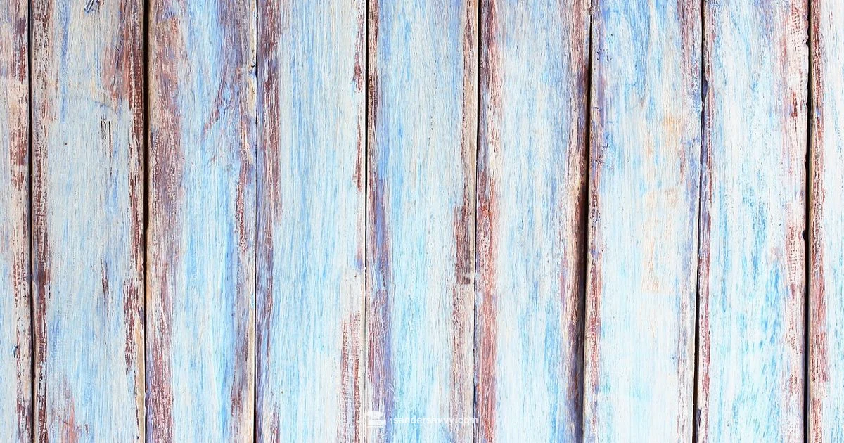 Sander Arts Guide - SanderSavvy