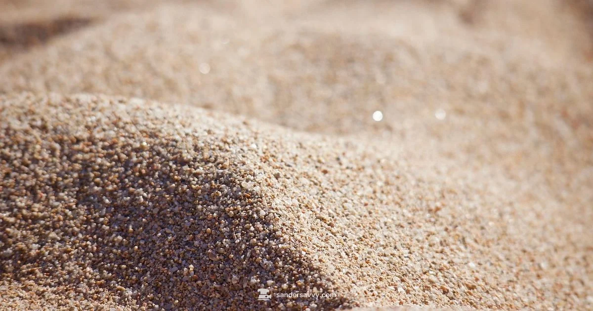 Clean Sanding Pads Clean Sanding Pads - SanderSavvy