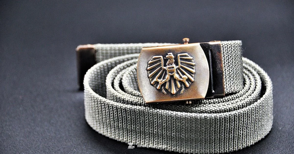 Belt Sander Basics - SanderSavvy