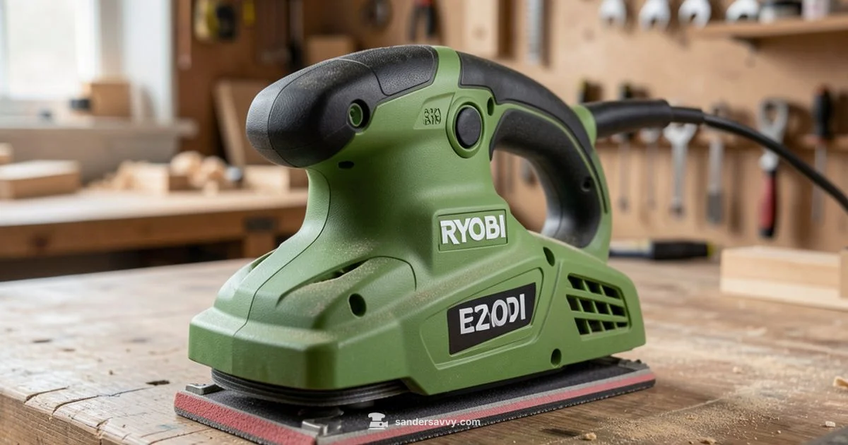 RYOBI BE319 REVIEW - SanderSavvy