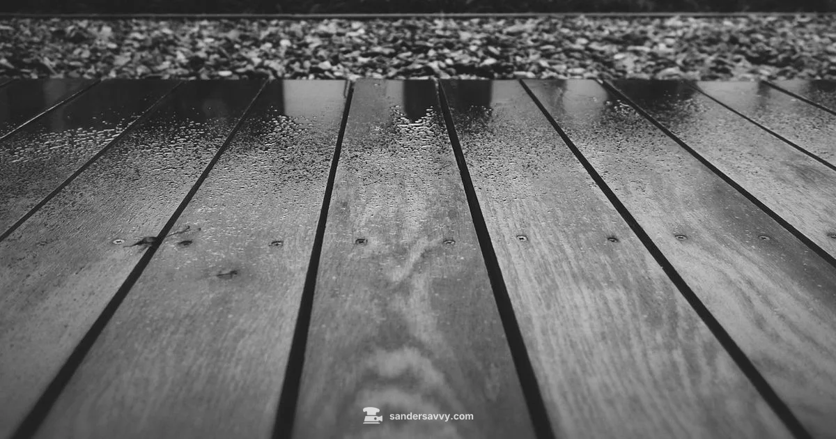 Top Sanding Picks 2026 Top Sanding Picks 2026 - SanderSavvy