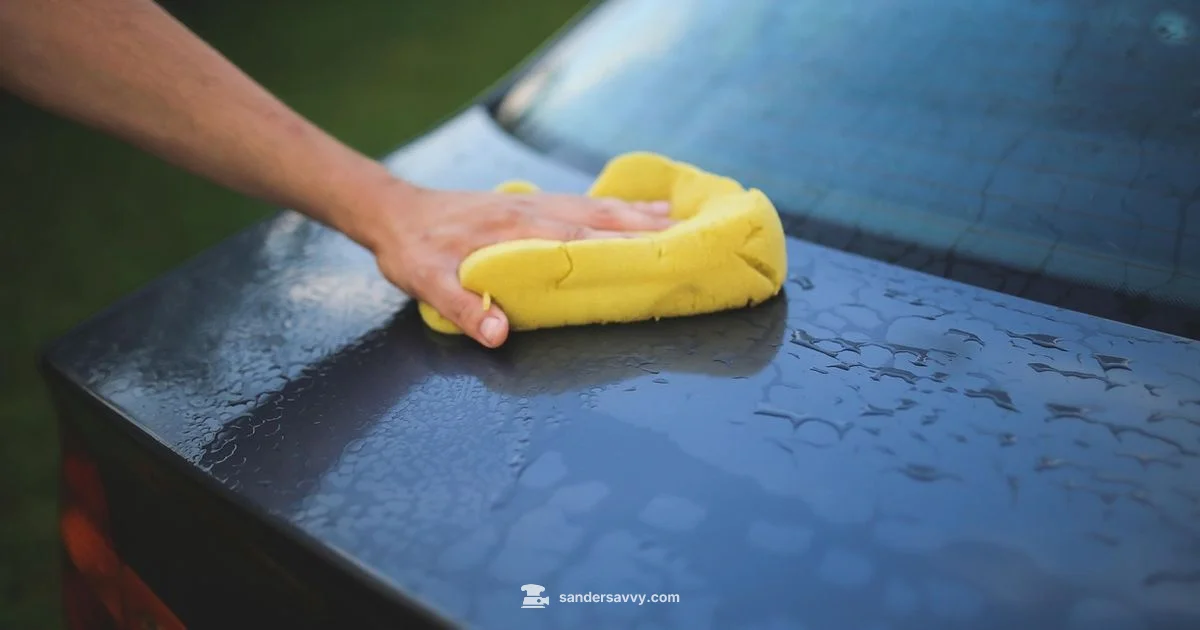 Car Polishing Guide - SanderSavvy