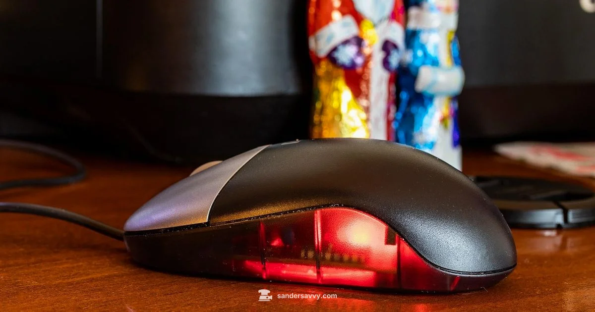 Palm Sander Essentials Palm Sander Essentials - SanderSavvy