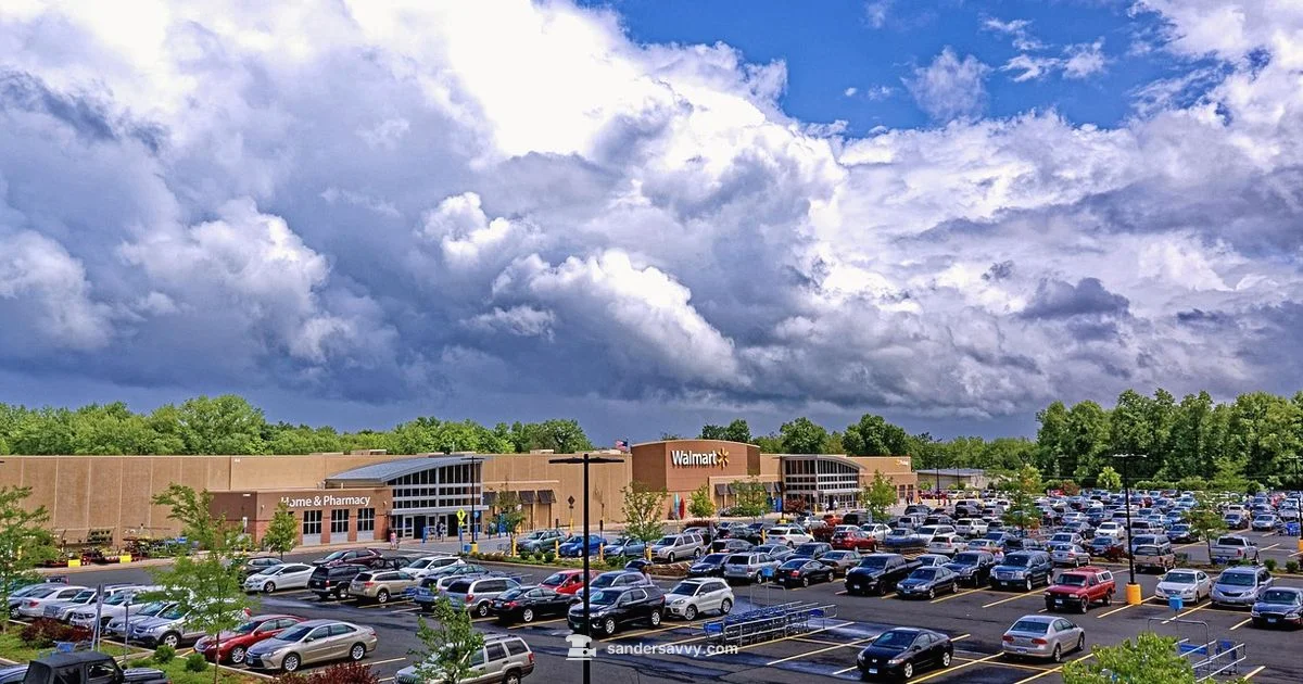 Sander at Walmart - SanderSavvy