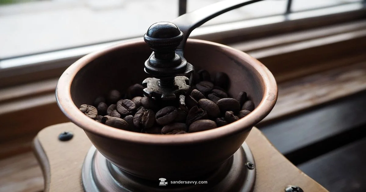 Top Grinder Picks - SanderSavvy