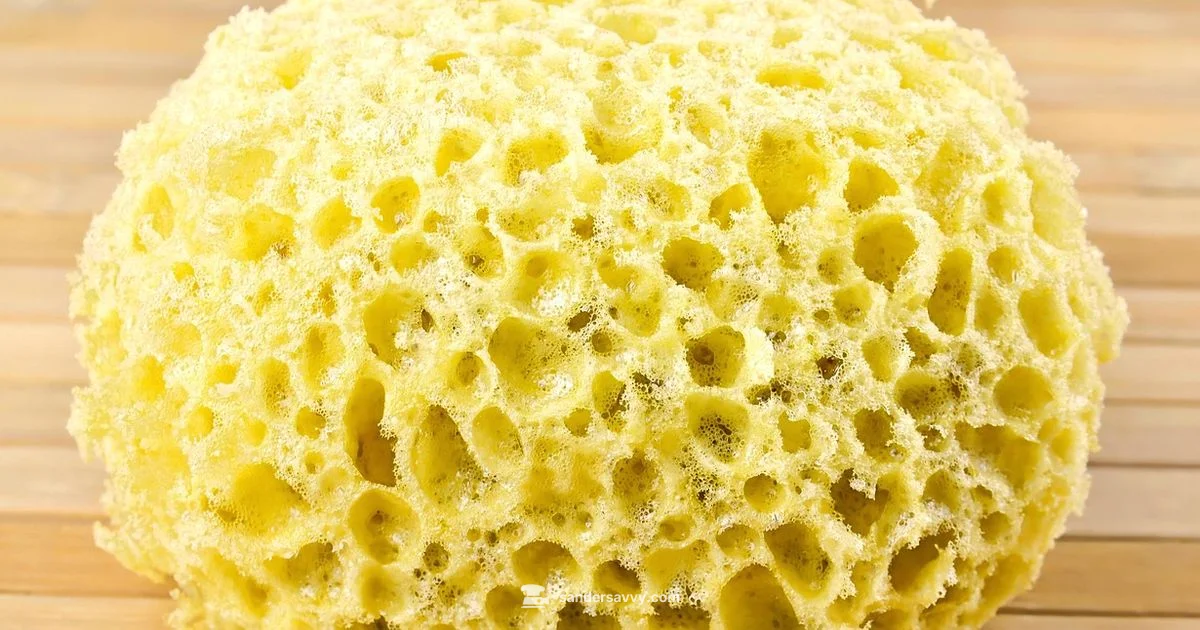 Sanding Sponge Guide - SanderSavvy