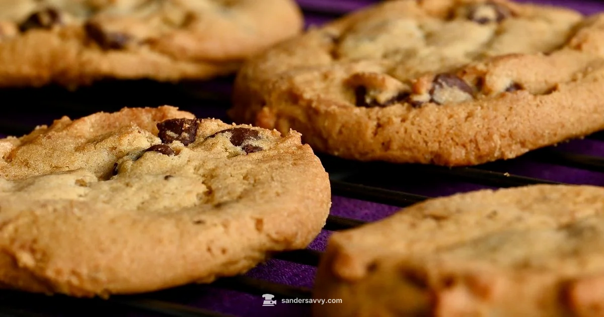 Sanding Sugar Sparkle - SanderSavvy