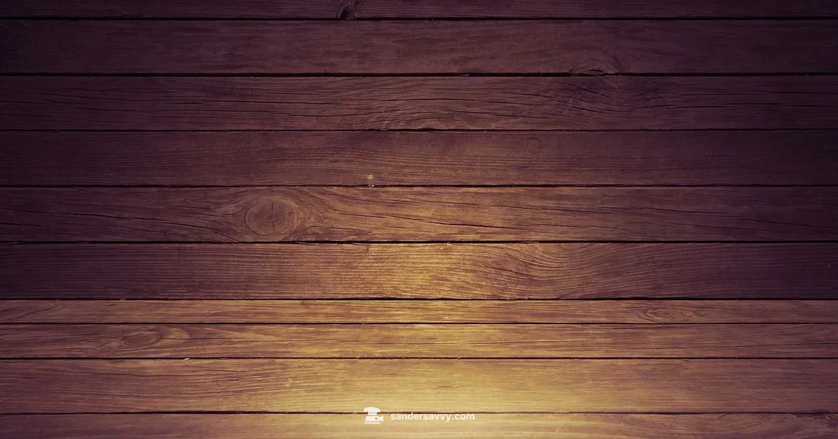 Sander Basics - SanderSavvy