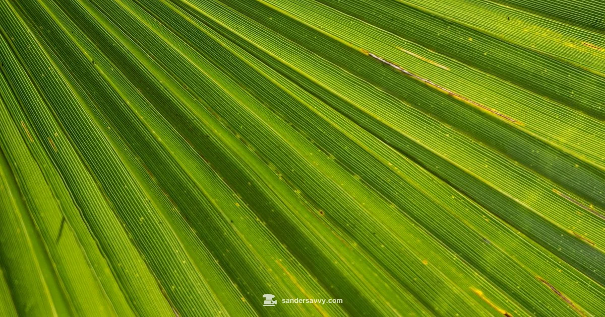 DeWalt Palm Sander - SanderSavvy