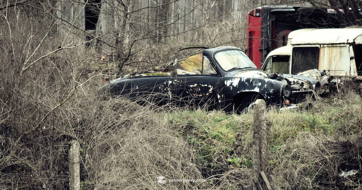 Car Sander Guide - SanderSavvy