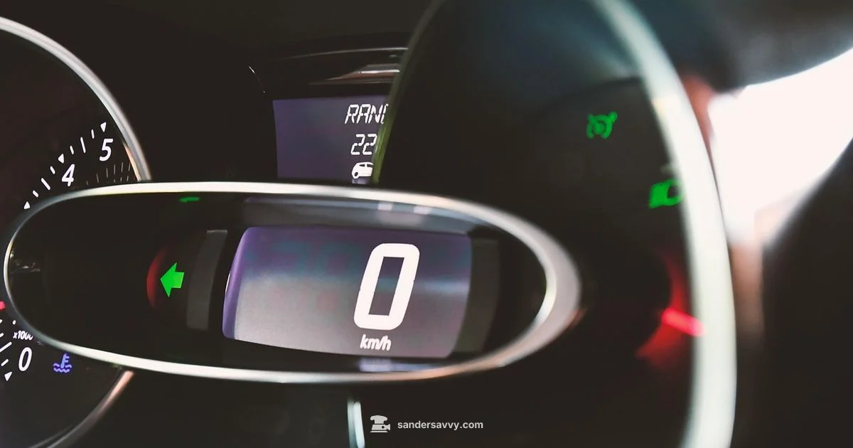 Sandero Automatic - SanderSavvy