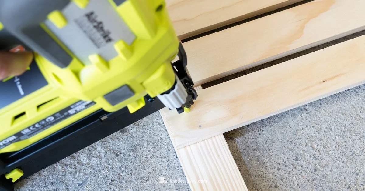 Shop Sander Options - SanderSavvy