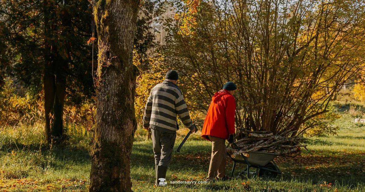 Sander Brothers Guide - SanderSavvy