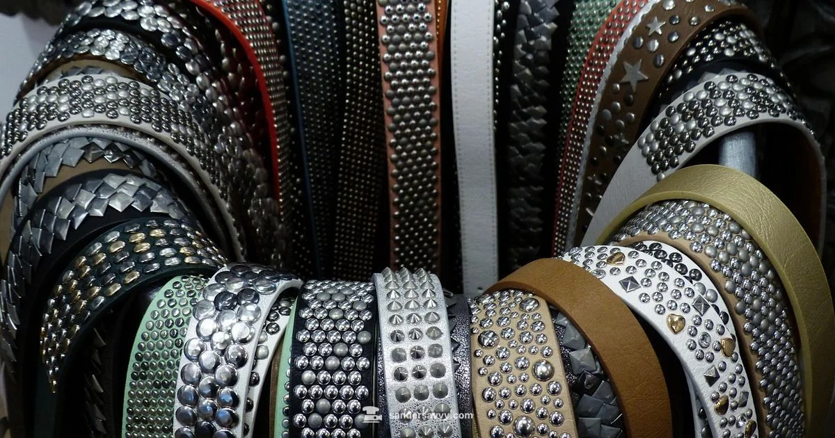 Sander Disc Belt Guide - SanderSavvy