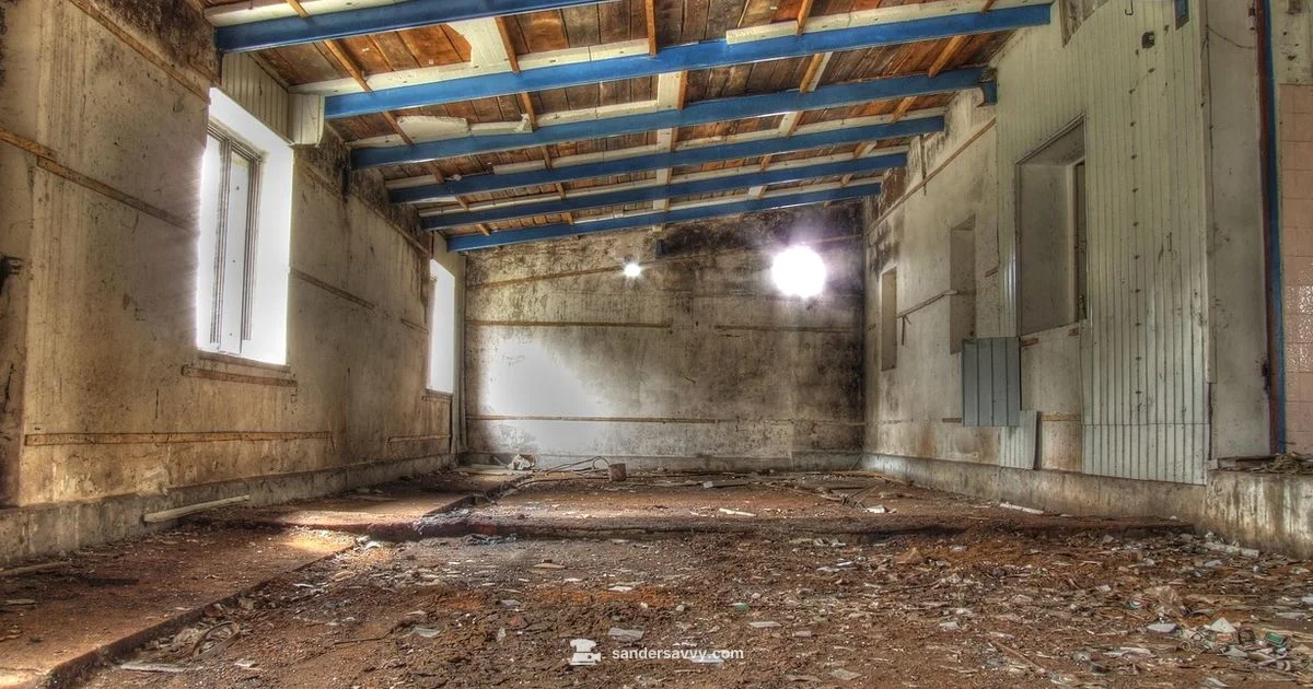 Drum Sander Rental Guide - SanderSavvy