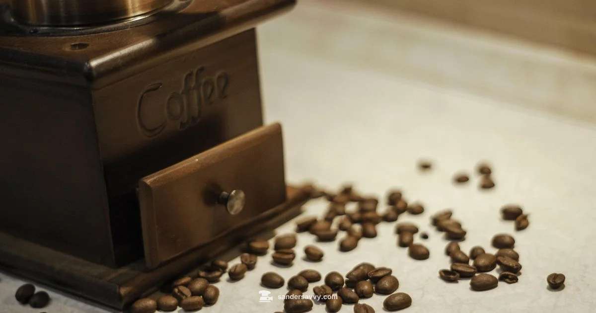 Espresso Grinder Guide - SanderSavvy