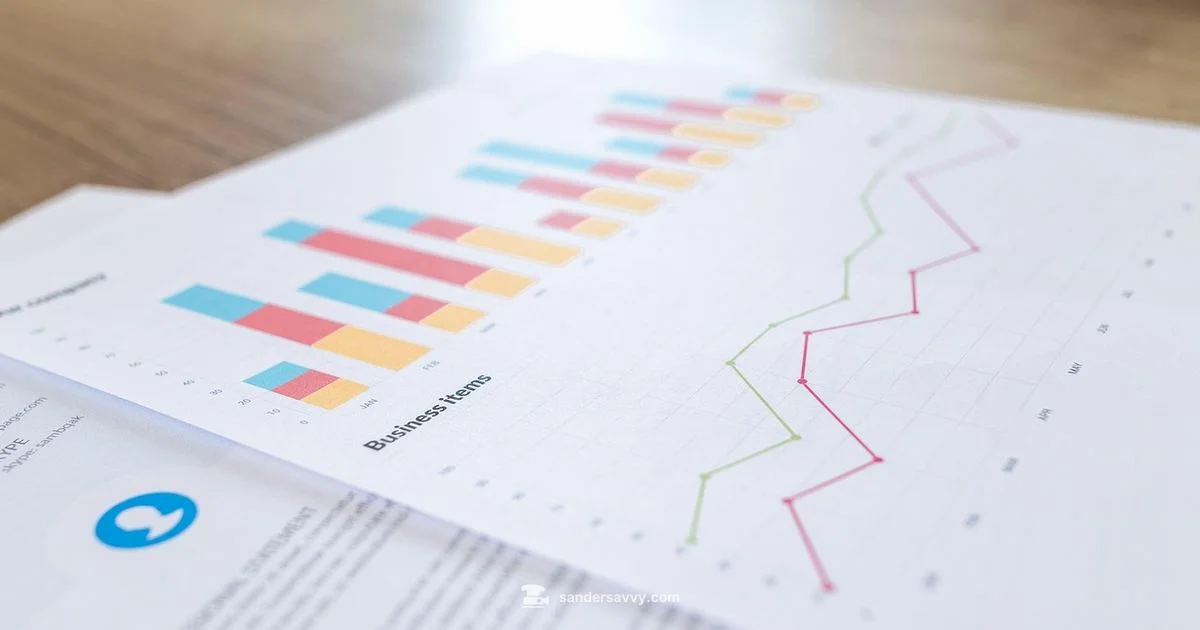 Net Worth Clarity - SanderSavvy