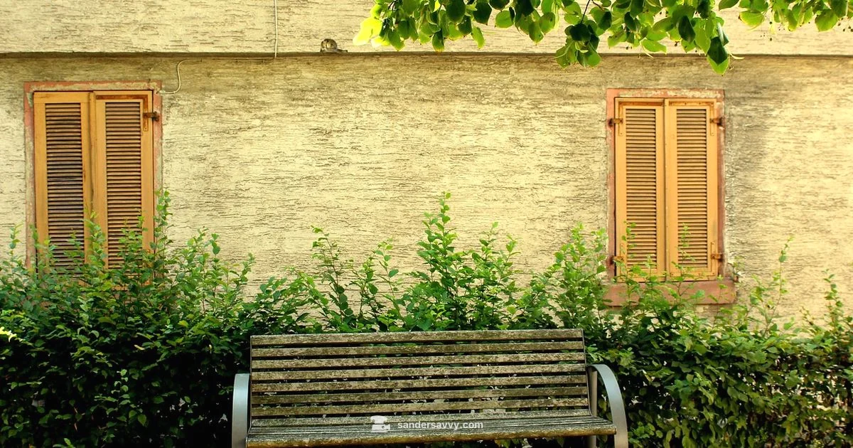 Jet Sander Essentials - SanderSavvy