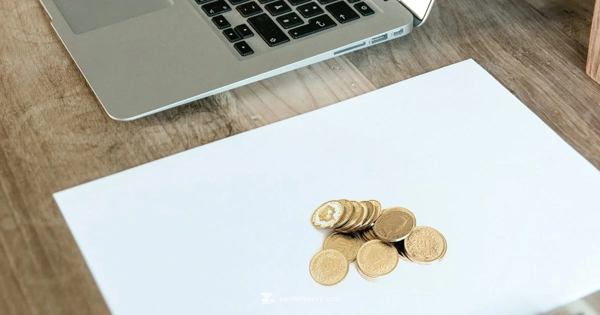 Net Worth Basics - SanderSavvy