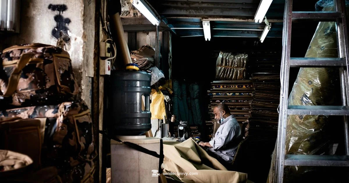 Budget Sander Guide Budget Sander Guide - SanderSavvy