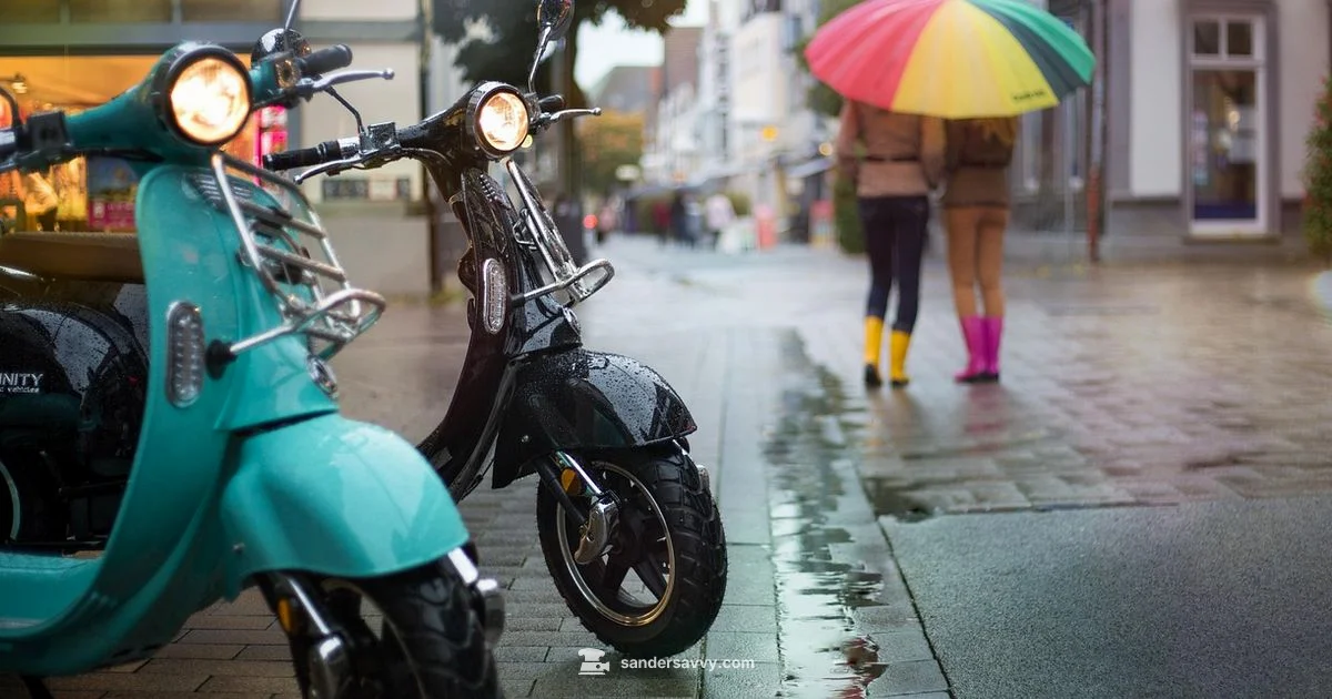 Sander Price Guide - SanderSavvy