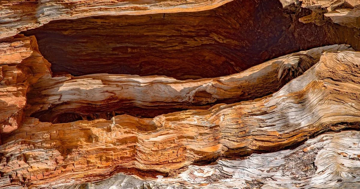 Intricate Wood Sanding - SanderSavvy