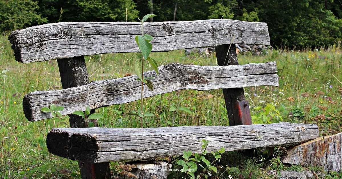 Hand Sanding Basics - SanderSavvy