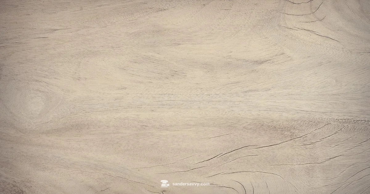 Six Inch Sander Guide - SanderSavvy