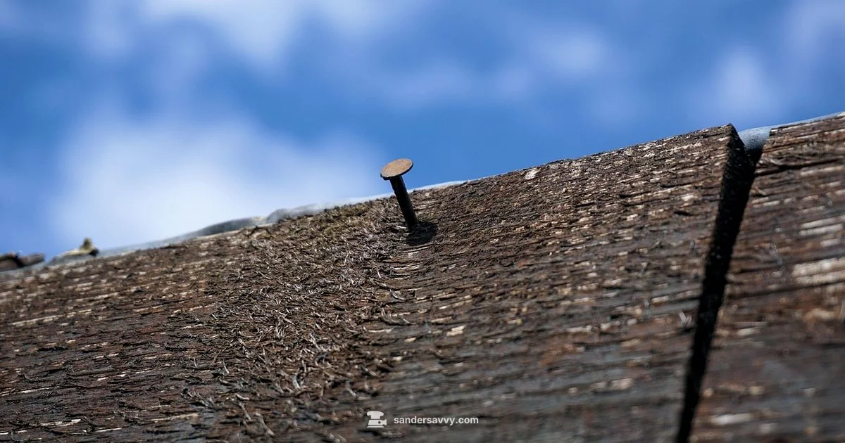 Nail Sander Guide Nail Sander Guide - SanderSavvy