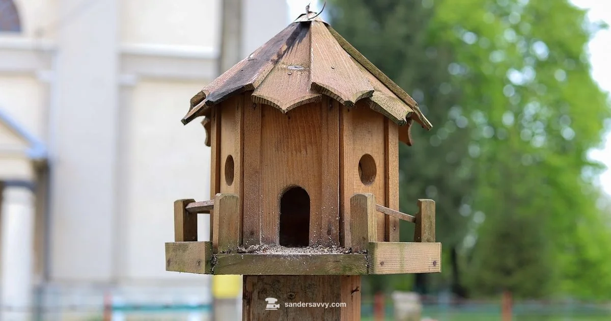 Orbit vs Sheet Sander - SanderSavvy