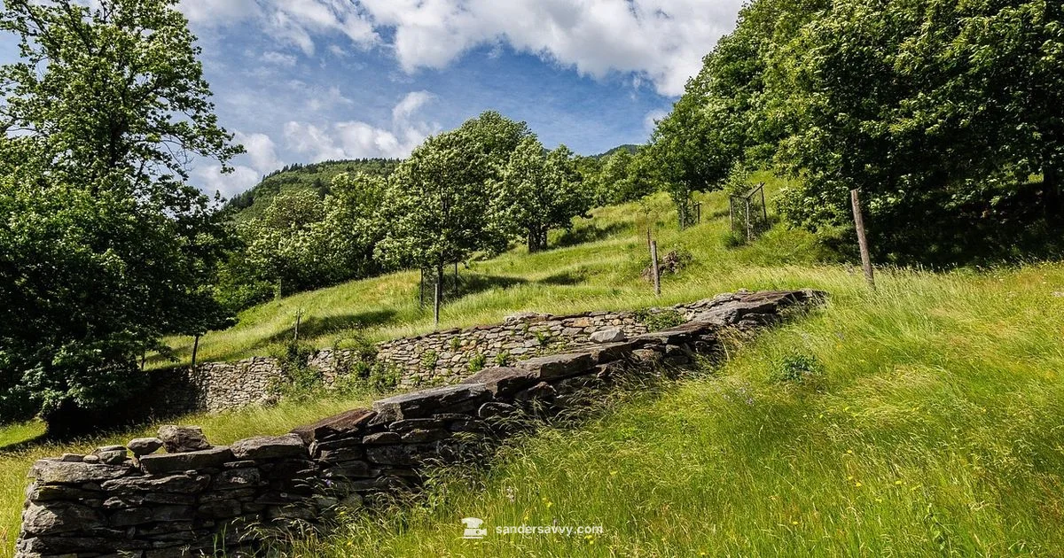 Best Drywall Sander - SanderSavvy