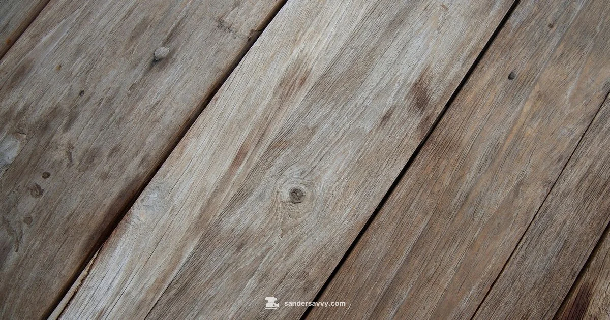 Drum Sander Essentials - SanderSavvy