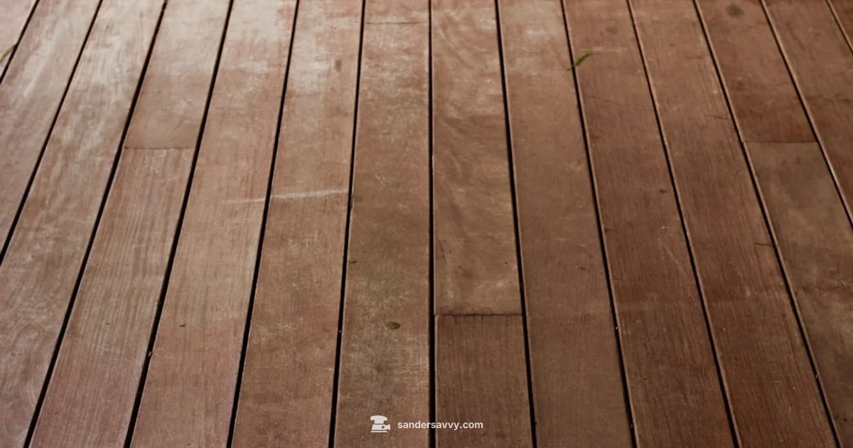 Sander Essentials - SanderSavvy