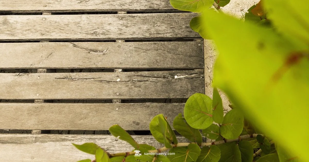 Orbital vs Sheet - SanderSavvy