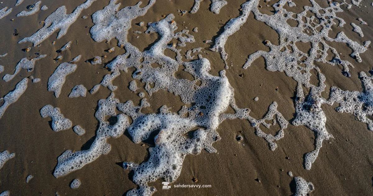 Foam Pad Guide - SanderSavvy