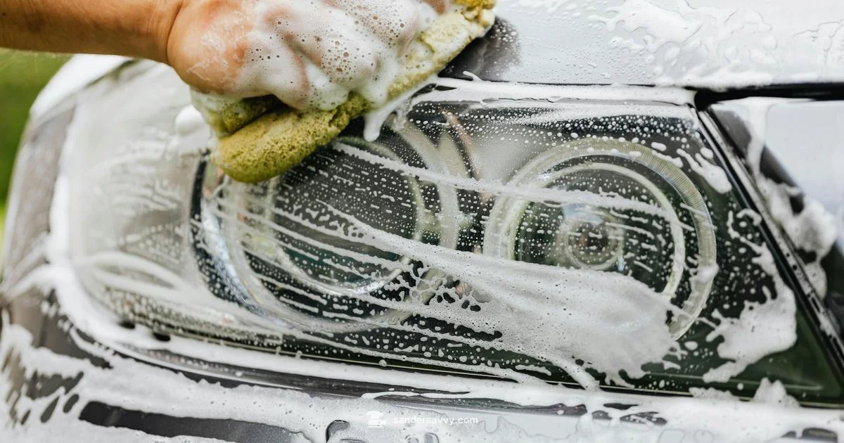 Car Sanding Guide - SanderSavvy