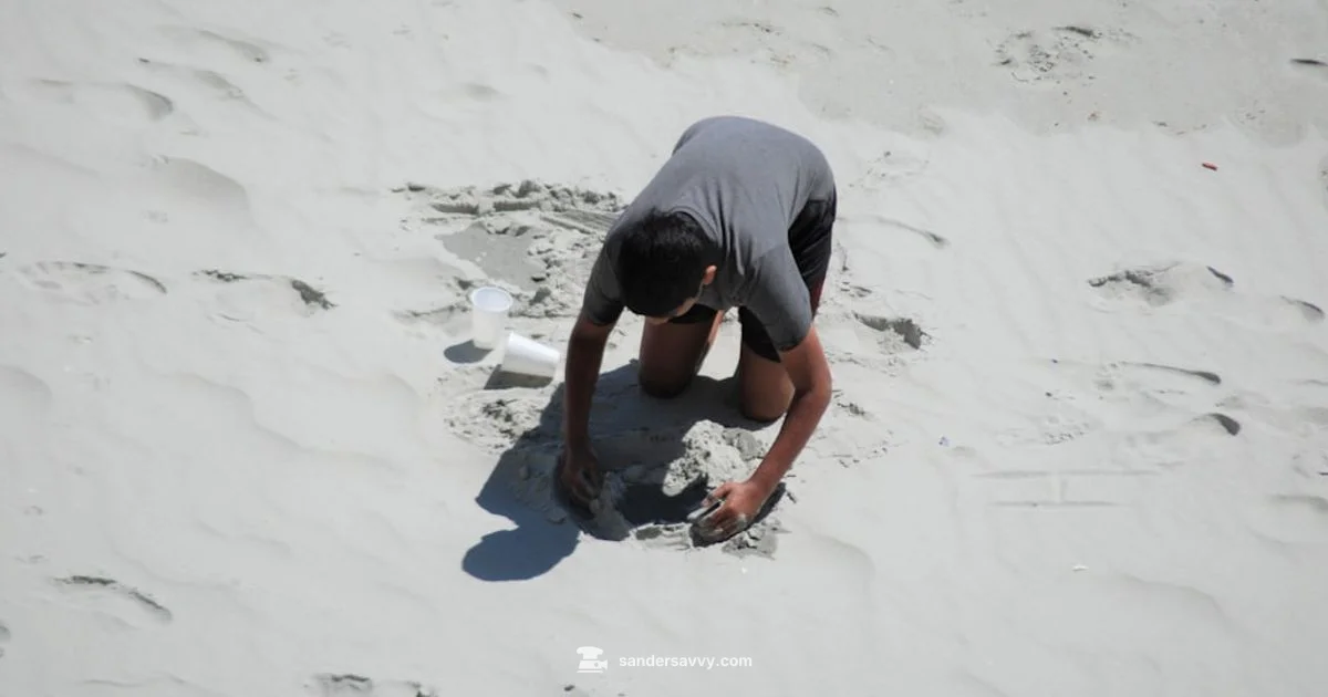 Festool Sander Review - SanderSavvy