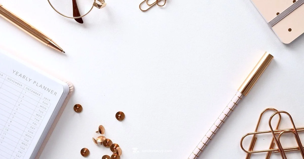 Sandpapers Essentials Guide - SanderSavvy