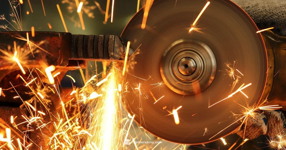 Worth It? Sander - SanderSavvy