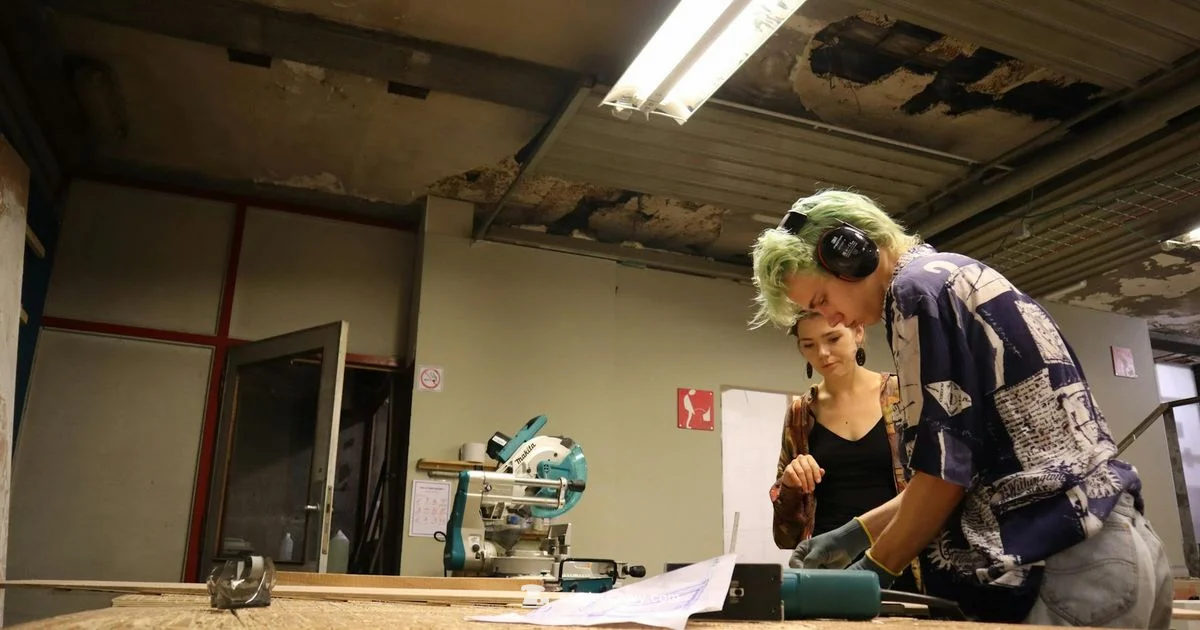 Harbor Freight Sander - SanderSavvy