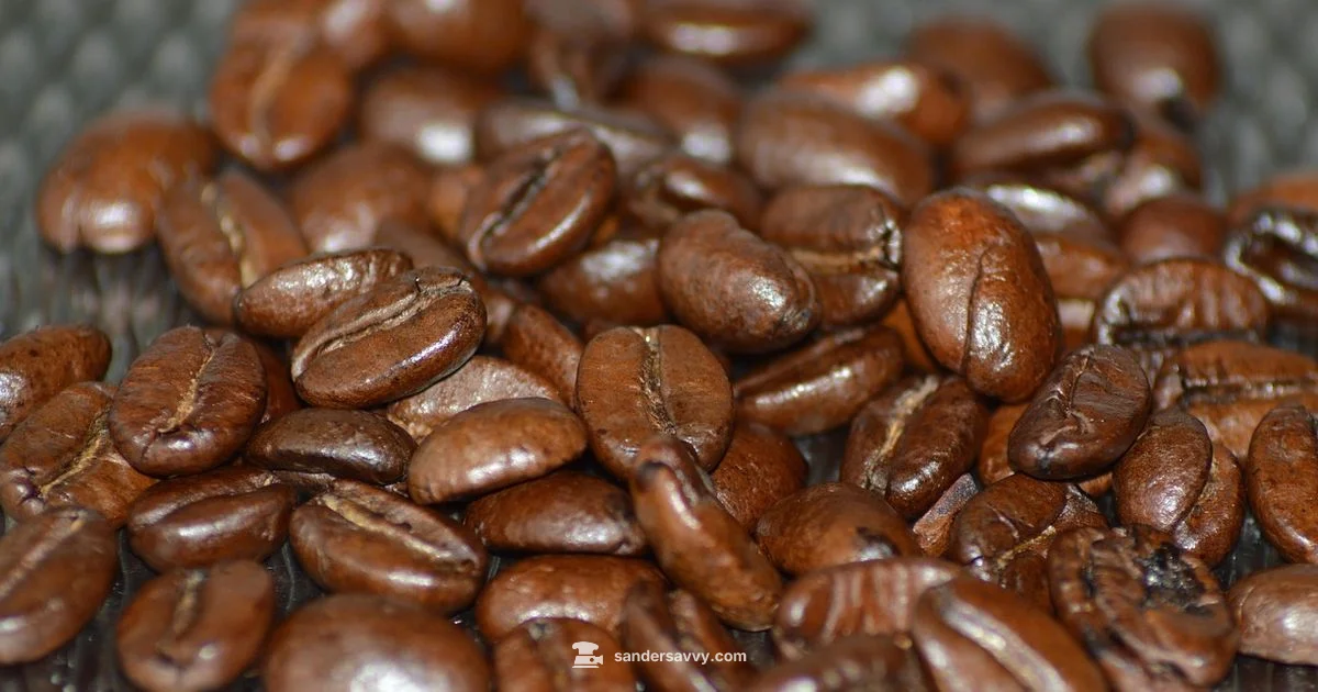 Burr Grinder Guide - SanderSavvy