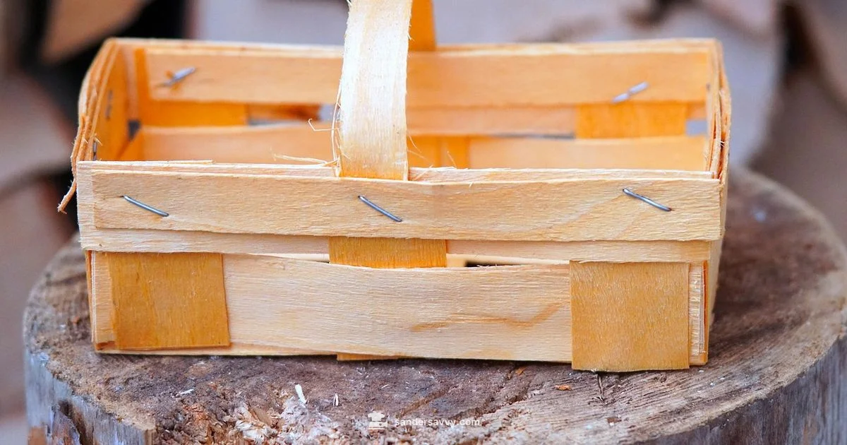 Sander Cost Guide - SanderSavvy